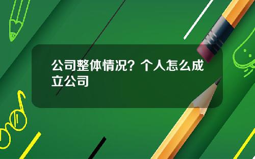 公司整体情况？个人怎么成立公司