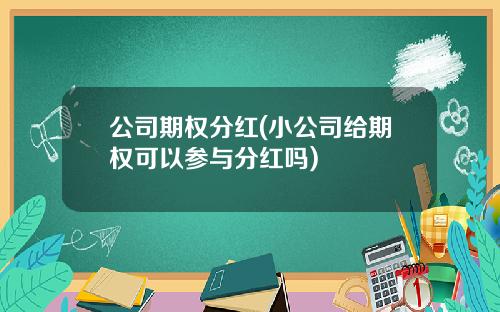 公司期权分红(小公司给期权可以参与分红吗)