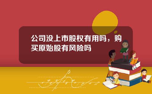 公司没上市股权有用吗，购买原始股有风险吗