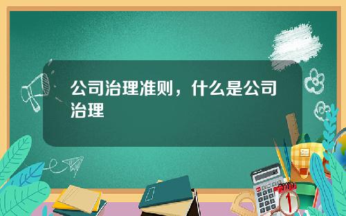 公司治理准则，什么是公司治理
