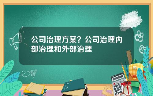 公司治理方案？公司治理内部治理和外部治理
