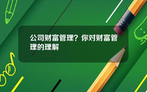 公司财富管理？你对财富管理的理解