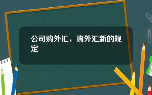 公司购外汇，购外汇新的规定