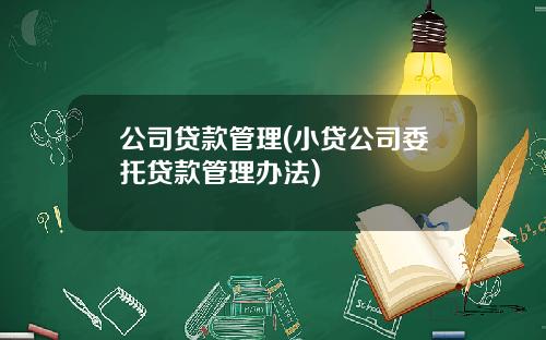 公司贷款管理(小贷公司委托贷款管理办法)