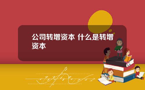 公司转增资本 什么是转增资本