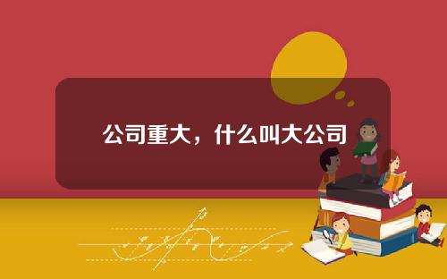 公司重大，什么叫大公司