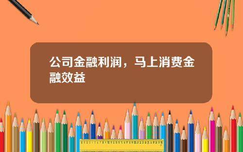 公司金融利润，马上消费金融效益