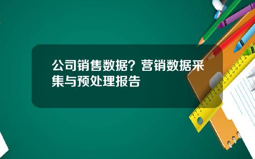 公司销售数据？营销数据采集与预处理报告