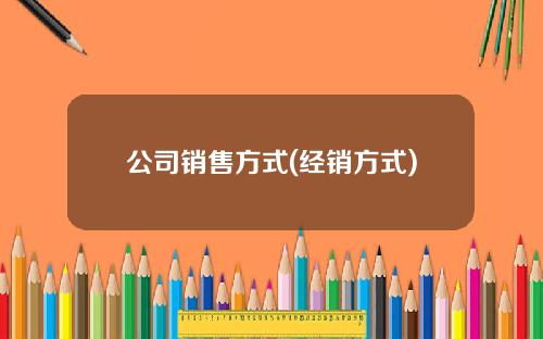公司销售方式(经销方式)