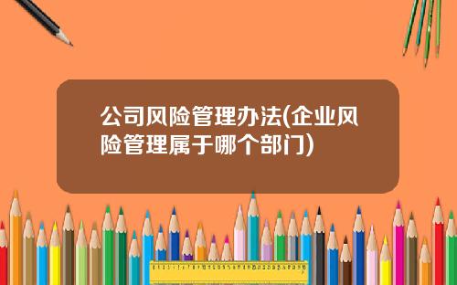 公司风险管理办法(企业风险管理属于哪个部门)