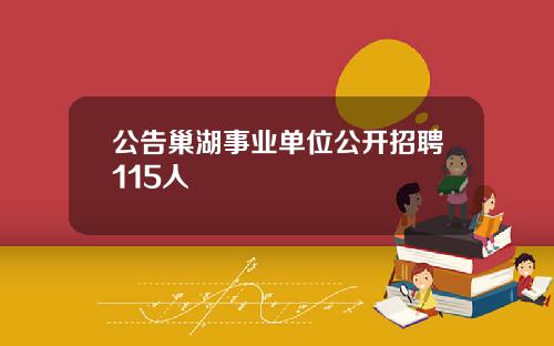 公告巢湖事业单位公开招聘115人