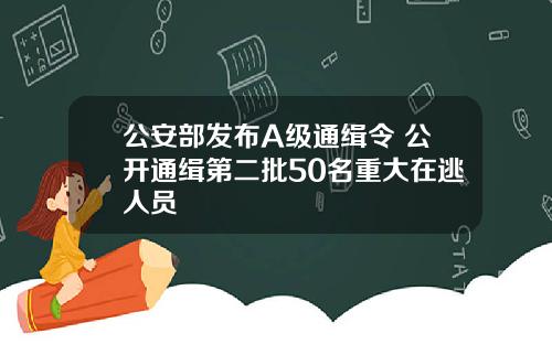 公安部发布A级通缉令 公开通缉第二批50名重大在逃人员
