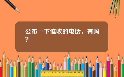 公布一下催收的电话，有吗？