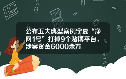公布五大典型案例宁夏“净网1号”打掉9个赌博平台，涉案资金6000余万