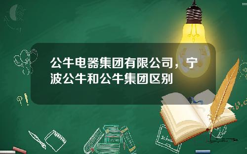 公牛电器集团有限公司，宁波公牛和公牛集团区别