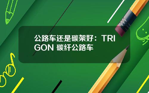 公路车还是碳架好：TRIGON 碳纤公路车