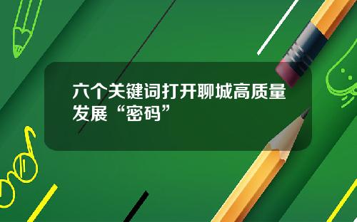 六个关键词打开聊城高质量发展“密码”