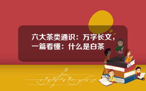 六大茶类通识：万字长文，一篇看懂：什么是白茶