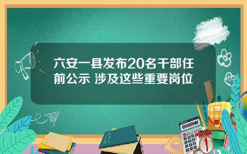 六安一县发布20名干部任前公示 涉及这些重要岗位