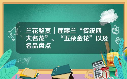 兰花鉴赏｜莲瓣兰“传统四大名花”、“五朵金花”以及名品盘点