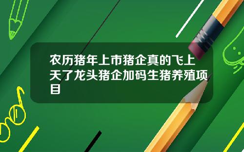 农历猪年上市猪企真的飞上天了龙头猪企加码生猪养殖项目