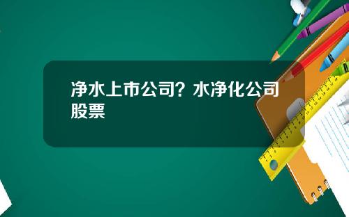 净水上市公司？水净化公司股票