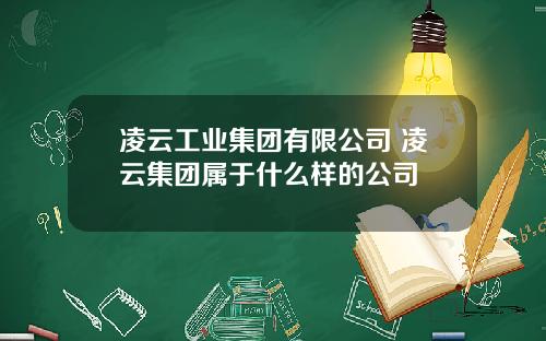 凌云工业集团有限公司 凌云集团属于什么样的公司