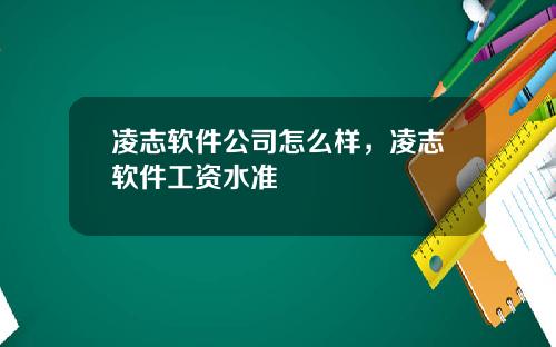 凌志软件公司怎么样，凌志软件工资水准