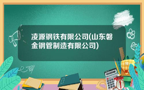 凌源钢铁有限公司(山东磐金钢管制造有限公司)