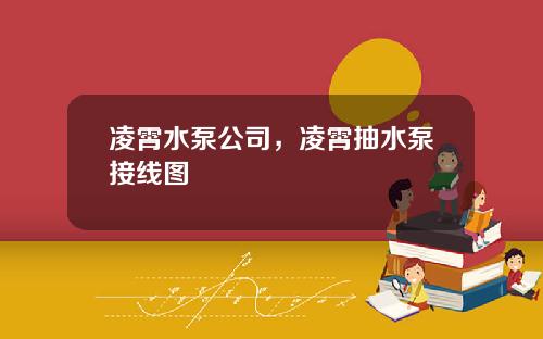 凌霄水泵公司，凌霄抽水泵接线图