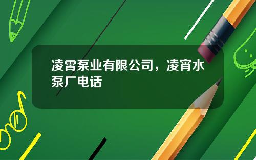 凌霄泵业有限公司，凌宵水泵厂电话