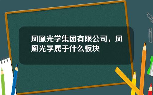 凤凰光学集团有限公司，凤凰光学属于什么板块