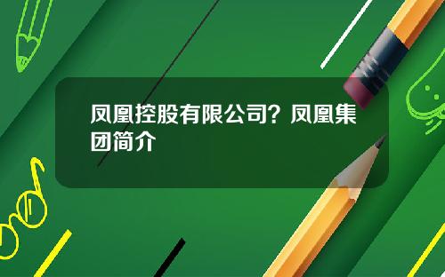 凤凰控股有限公司？凤凰集团简介