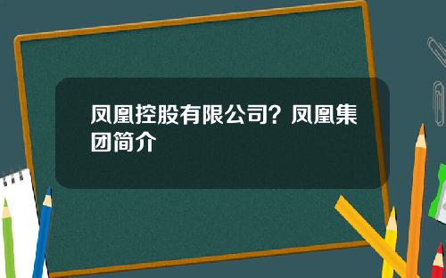 凤凰控股有限公司？凤凰集团简介