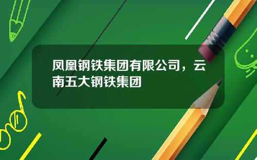 凤凰钢铁集团有限公司，云南五大钢铁集团