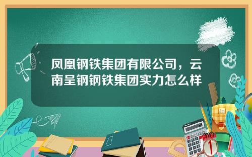 凤凰钢铁集团有限公司，云南呈钢钢铁集团实力怎么样