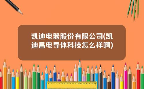 凯迪电器股份有限公司(凯迪昌电导体科技怎么样啊)