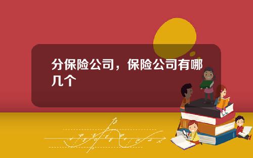 分保险公司，保险公司有哪几个