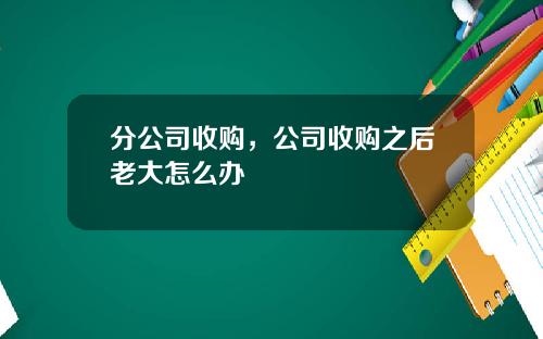 分公司收购，公司收购之后老大怎么办