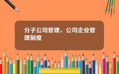 分子公司管理，公司企业管理制度