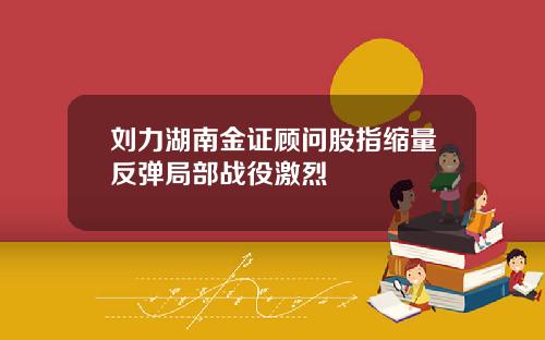 刘力湖南金证顾问股指缩量反弹局部战役激烈