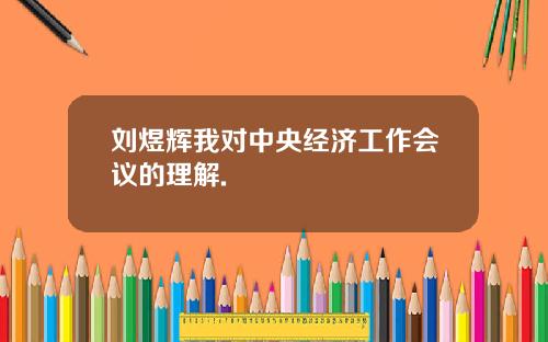 刘煜辉我对中央经济工作会议的理解.