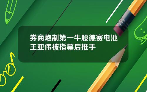 券商炮制第一牛股德赛电池王亚伟被指幕后推手