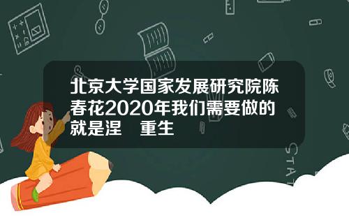 北京大学国家发展研究院陈春花2020年我们需要做的就是涅槃重生