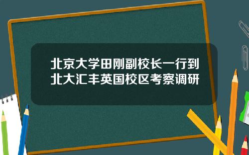 北京大学田刚副校长一行到北大汇丰英国校区考察调研