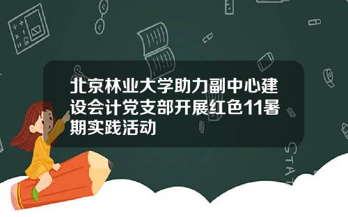 北京林业大学助力副中心建设会计党支部开展红色11暑期实践活动
