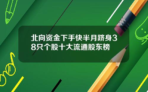 北向资金下手快半月跻身38只个股十大流通股东榜 北向资金下手快半月跻身38只个股十大流通股东榜