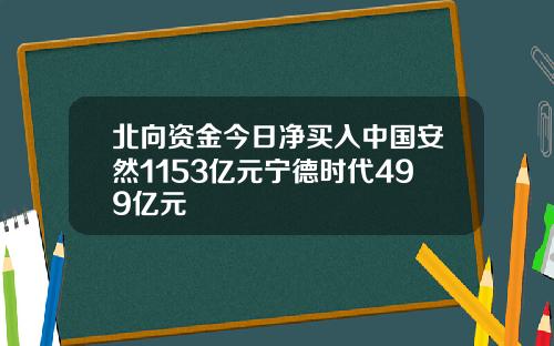北向资金今日净买入中国安然1153亿元宁德时代499亿元
