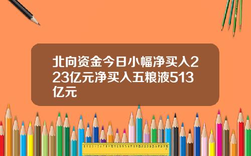 北向资金今日小幅净买入223亿元净买入五粮液513亿元