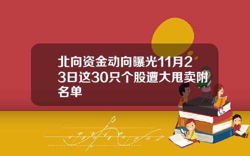 北向资金动向曝光11月23日这30只个股遭大甩卖附名单